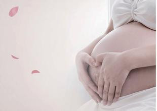 孕妇各阶段食谱