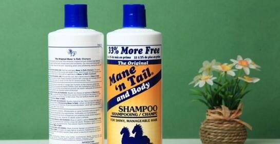 世界十大洗发水品牌排行榜，箭牌洗发水宠物也可用