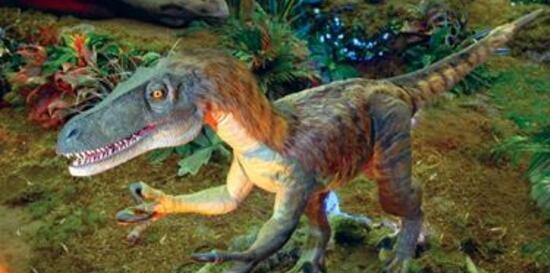 世界上最小的恐龙，美颌龙最长都只有1米