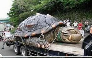 世界上最大的乌龟 随小编一起来看看吧