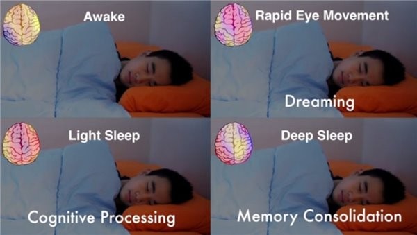 智能手环可扔掉 让AI算法帮你摆脱失眠