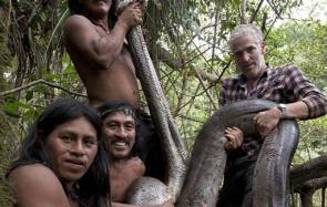 解析BBC和土著抓住了世界最长蟒蛇，是一种食人大蟒蛇