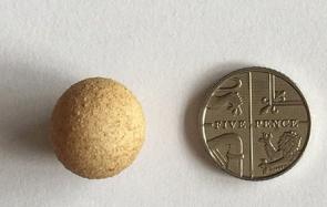 一起来看看世界上最小的鸡蛋
