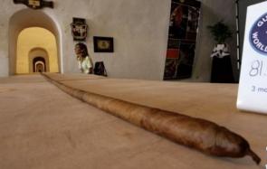 一起来看看世界上最长的雪茄