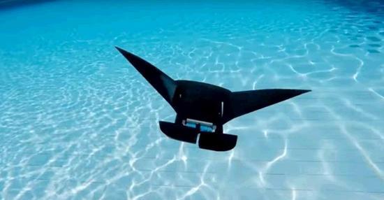 新加坡科学家打造蝠鲼机器人 可水下畅游多少小时