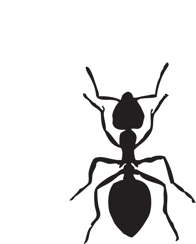 揭秘：蚂蚁金服主动关闭部分用户的蚂蚁借呗功能