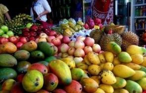 海南三亚特产 热带水果的产地