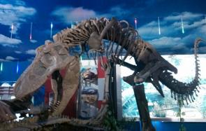 恐龙博物馆 世界三大恐龙遗址博物馆之一