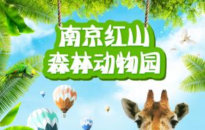 南京红山动物园景点和动物资源