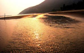 拥有极具浪漫风情的海滩：银沙滩生态园简介