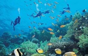 亚龙湾海底世界 色彩斑斓的海底世界